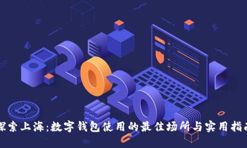 探索上海：数字钱包使用的最佳场所与实用指南