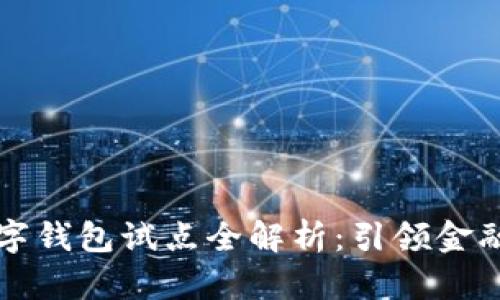 兴业银行数字钱包试点全解析：引领金融科技新潮流