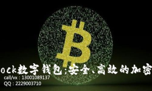 全面解析S Block数字钱包：安全、高效的加密资产管理工具