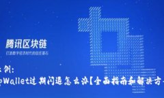 示例: tpWallet过期闪退怎么办？全面指南和解决方