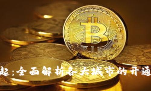 : 数字钱包的崛起：全面解析各大城市的开通情况与使用现状