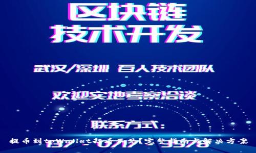 提币到tpWallet却看不见？完整指南与解决方案