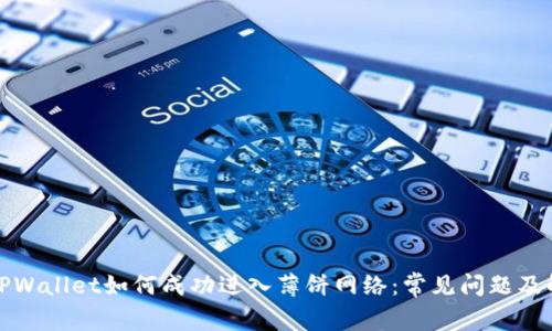 最新版TPWallet如何成功进入薄饼网络：常见问题及解决方案
