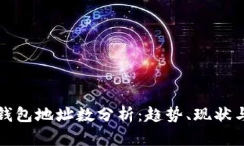 全球数字钱包地址数分析：趋势、现状与未来发展