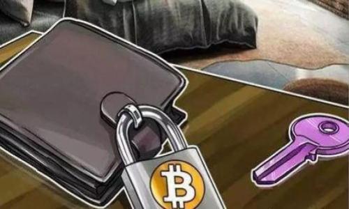 

手机tpWallet闪退解决方案：全面解析与用户指南