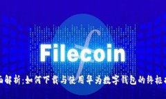 全面解析：如何下载与使用华为数字钱包的终极
