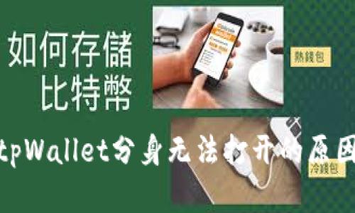  深入探讨：tpWallet分身无法打开的原因及解决方案