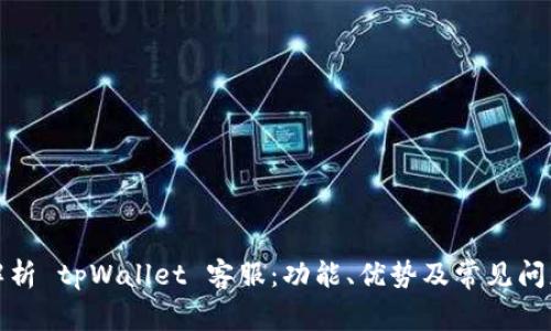 全面解析 tpWallet 客服：功能、优势及常见问题解答