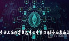 如何高效查询上海数字钱包中的中签信息？全面