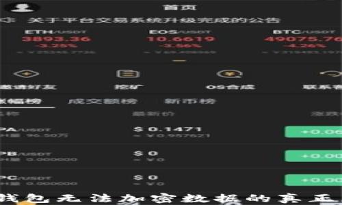 
深入探讨：三星钱包无法加密数据的真正原因与解决方案