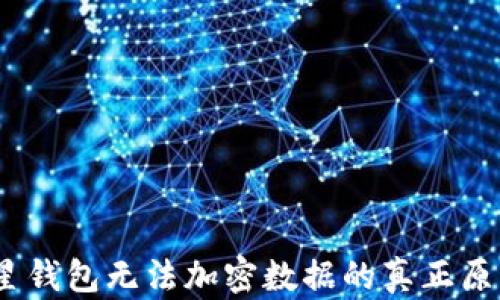 
深入探讨：三星钱包无法加密数据的真正原因与解决方案