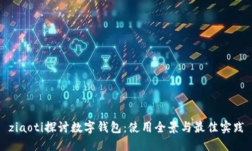 ziaoti探讨数字钱包：使用全景与最佳实践