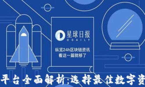 
区块链钱包平台全面解析：选择最佳数字资产管理工具