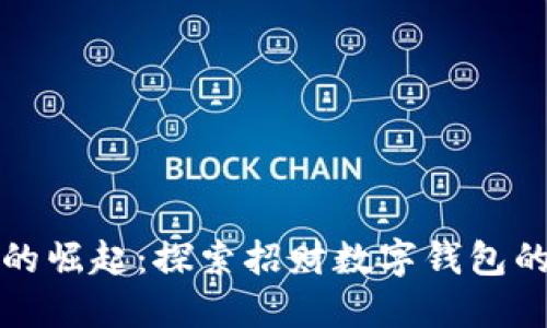: 数字钱包的崛起：探索招财数字钱包的未来与潜力