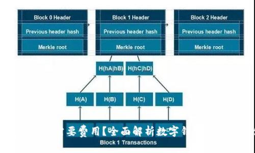 开通数字钱包是否需要费用？全面解析数字钱包的开通及使用成本