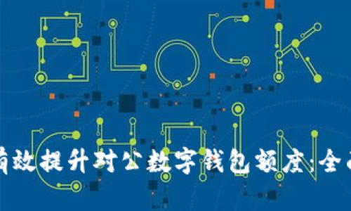 如何有效提升对公数字钱包额度：全面指南