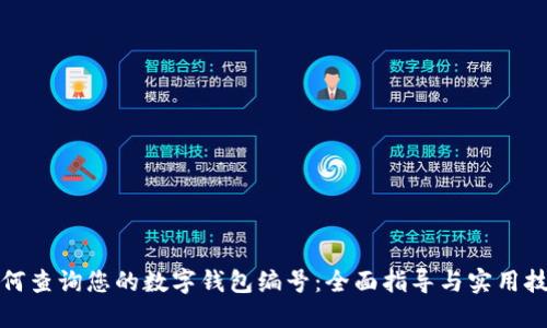 如何查询您的数字钱包编号：全面指导与实用技巧