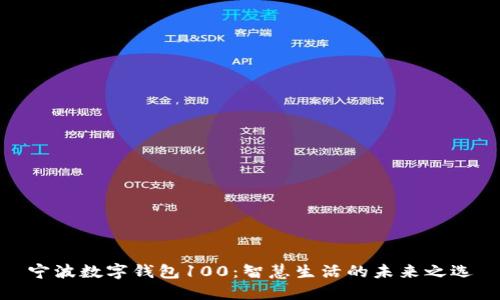 宁波数字钱包100：智慧生活的未来之选