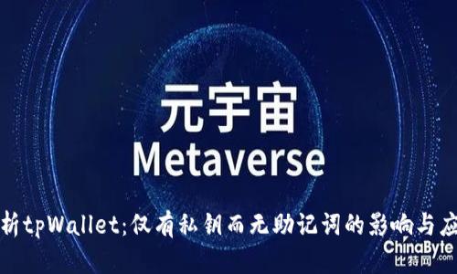 完整解析tpWallet：仅有私钥而无助记词的影响与应对策略