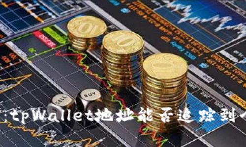 深入剖析：tpWallet地址能否追踪到个人身份？