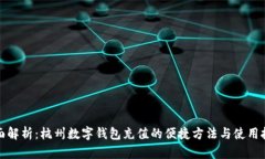 全面解析：杭州数字钱包充值的便捷方法与使用