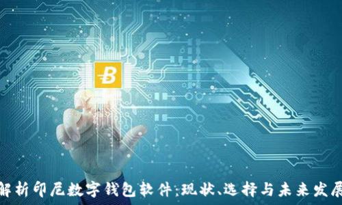   
全面解析印尼数字钱包软件：现状、选择与未来发展趋势