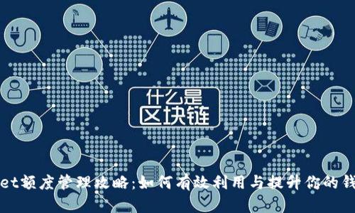 tpWallet额度管理攻略：如何有效利用与提升你的钱包额度