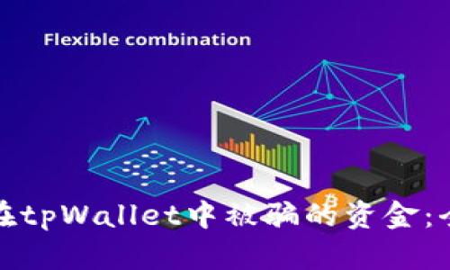 如何有效追回在tpWallet中被骗的资金：全面指南与建议