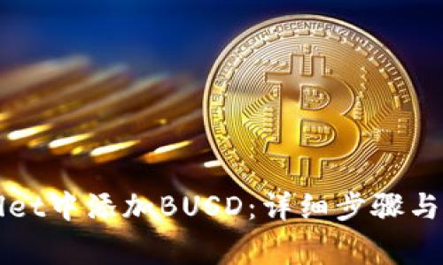 如何在tpWallet中添加BUSD：详细步骤与常见问题解答