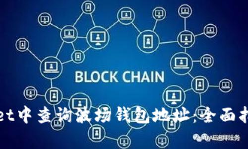 如何在tpWallet中查询波场钱包地址：全面指南与实用技巧