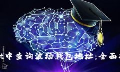 如何在tpWallet中查询波场钱包地址：全面指南与实