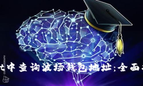 如何在tpWallet中查询波场钱包地址：全面指南与实用技巧