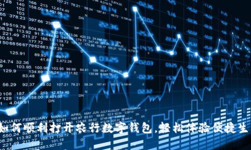  如何顺利打开农行数字钱包，轻松体验便捷生活