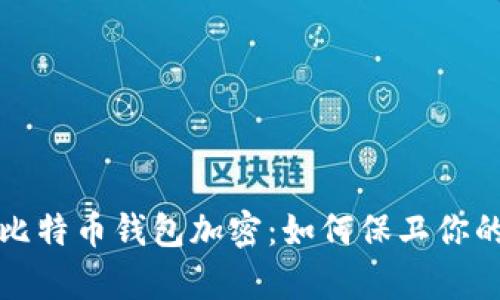 揭秘早期比特币钱包加密：如何保卫你的数字财富