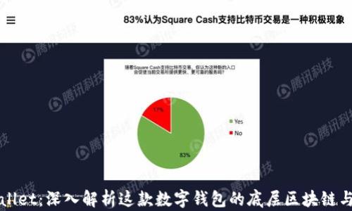 
tpWallet：深入解析这款数字钱包的底层区块链与特点