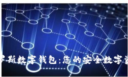 和关键词

全面解析达罗斯数字钱包：您的安全数字资产管理伴侣