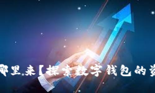 数字钱包里的钱从哪里来？探索数字钱包的资金来源与运作机制