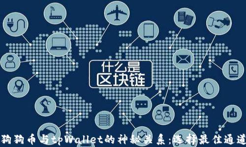 
揭秘狗狗币与tpWallet的神秘关系：选择最佳通道指南