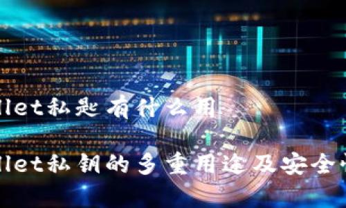 tpWallet私匙有什么用

tpWallet私钥的多重用途及安全性分析