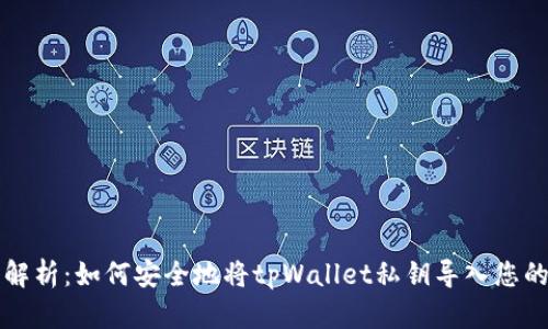 深入解析：如何安全地将tpWallet私钥导入您的钱包