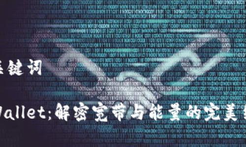 和关键词

tpWallet：解密宽带与能量的完美结合