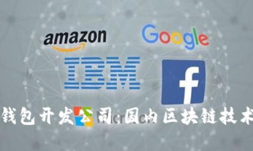 揭秘南宁区块链钱包开发公司：国内区块链技术创新的先锋力量
