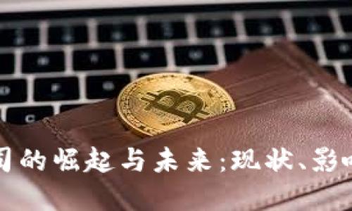 中国数字钱包公司的崛起与未来：现状、影响及行业发展趋势