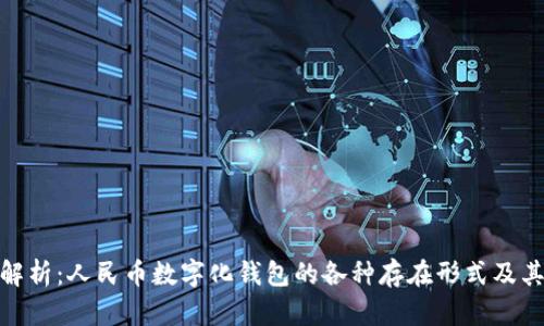 全面解析：人民币数字化钱包的各种存在形式及其影响