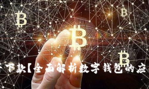 数字钱包能否下款？全面解析数字钱包的应用与信用模式
