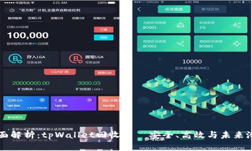 全面解析：tpWallet回收——安全、高效与未来潜力