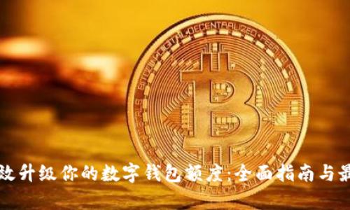 如何有效升级你的数字钱包额度：全面指南与最佳实践