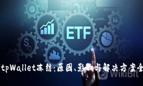 了解tpWallet冻结：原因、影响与解决方案全解析