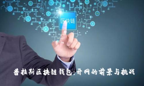  普拉斯区块链钱包：开网的前景与挑战