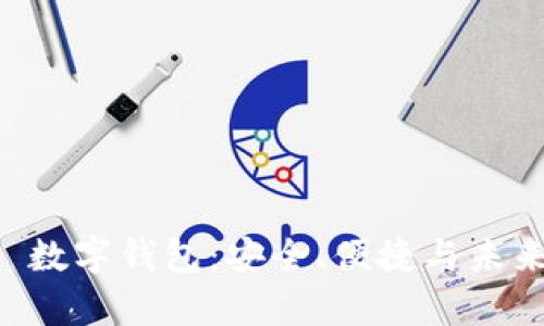 全面解读 Shapr 数字钱包：安全、便捷与未来金融革命的结合